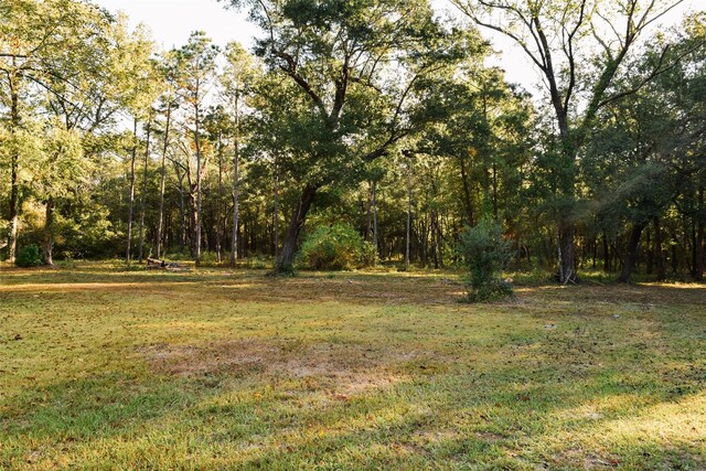 6304 Fm 563, Wallisville, TX 77597 - photo 5