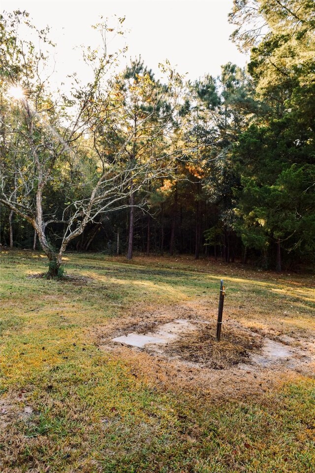 6304 Fm 563, Wallisville, TX 77597 - photo 7
