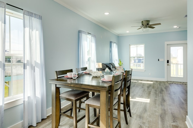 dining room featuring ornamental molding, light wood-type flooring, and ceiling fan