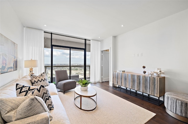 living room with dark hardwood / wood-style flooring and a wall of windows