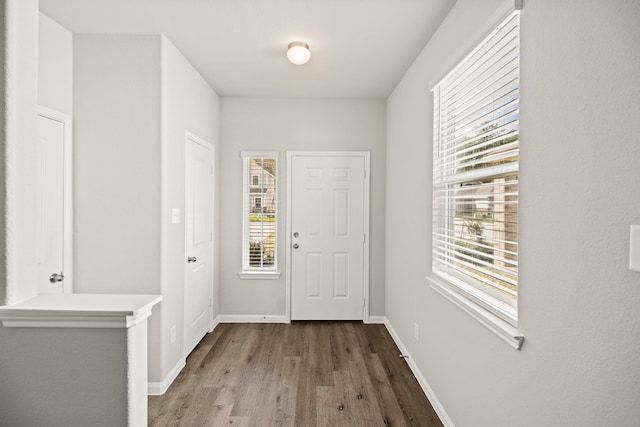 entrance foyer with hardwood / wood-style flooring