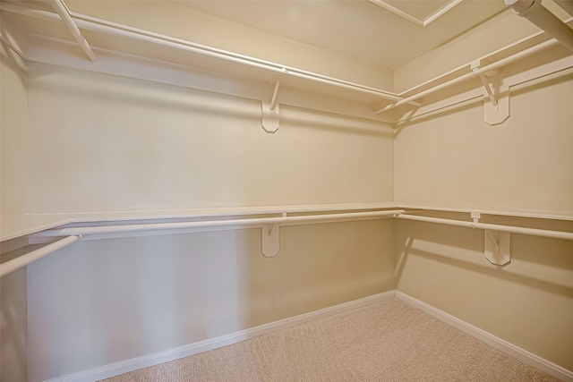 spacious closet with carpet floors