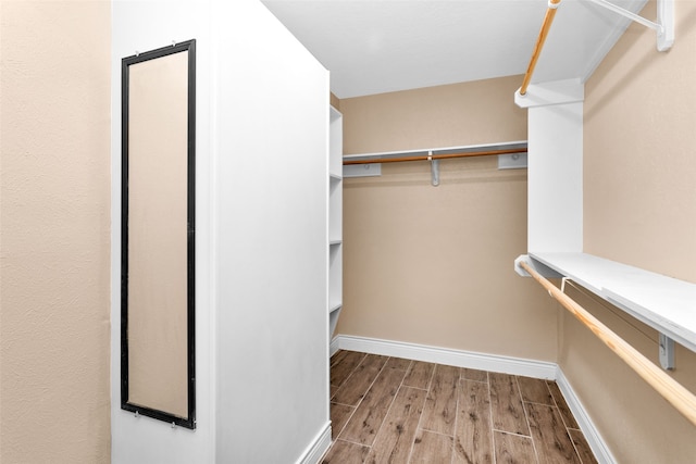 walk in closet featuring hardwood / wood-style floors