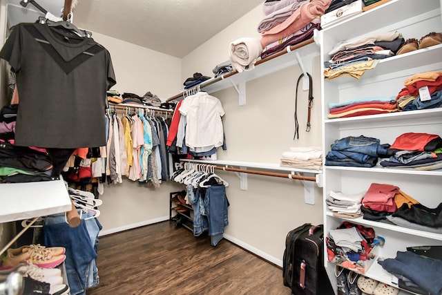 spacious closet featuring dark hardwood / wood-style flooring