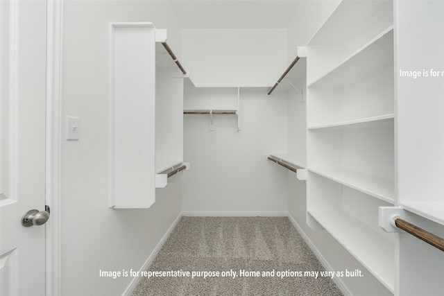 spacious closet featuring light colored carpet