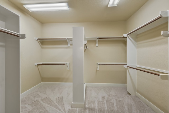 walk in closet with light colored carpet