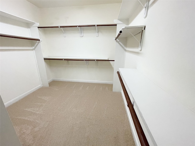 spacious closet with light colored carpet