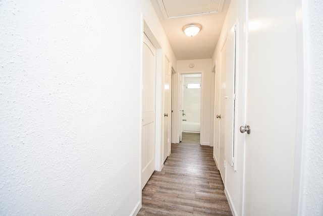 hallway with hardwood / wood-style flooring