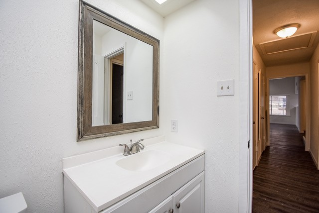 bathroom featuring vanity and wood-type flooring