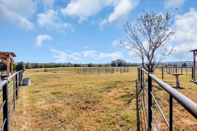 view of yard featuring a rural view