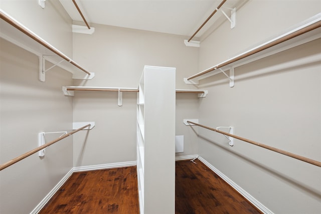 spacious closet featuring dark hardwood / wood-style flooring