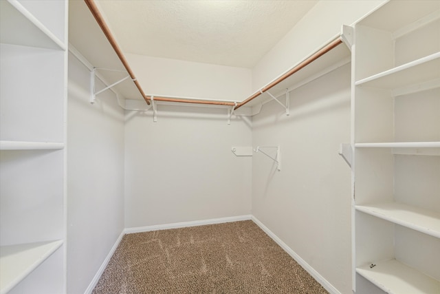 walk in closet with carpet