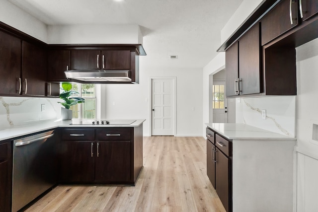 kitchen featuring stainless steel dishwasher, dark brown cabinetry, light hardwood / wood-style floors, and plenty of natural light