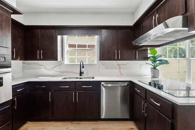 kitchen with a wealth of natural light, sink, dishwasher, and black electric cooktop