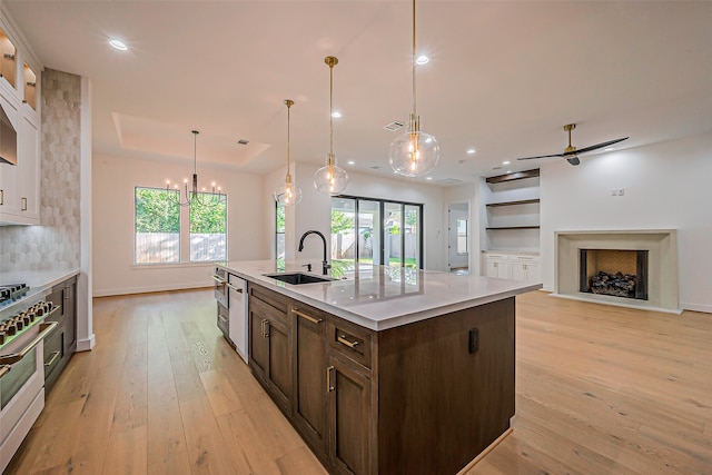 kitchen featuring light hardwood / wood-style floors, sink, plenty of natural light, and a kitchen island with sink