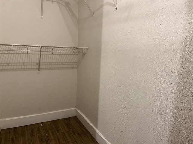 spacious closet featuring dark hardwood / wood-style flooring