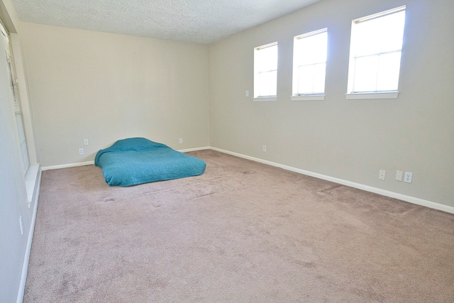 unfurnished room featuring a textured ceiling, a wealth of natural light, and light colored carpet