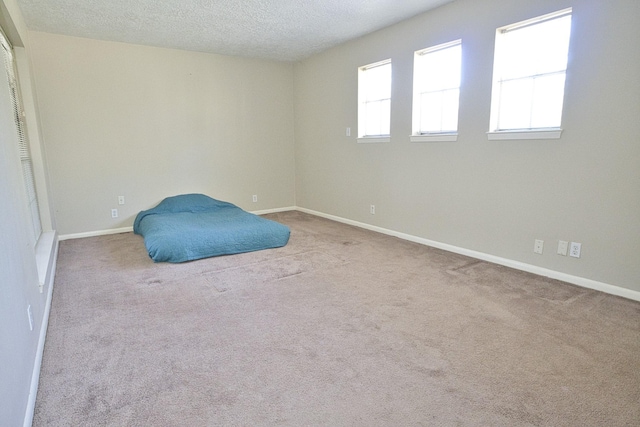 6823 County Road 659, Brazoria, TX 77422 - unfurnished bedroom featuring carpet flooring and a textured ceiling