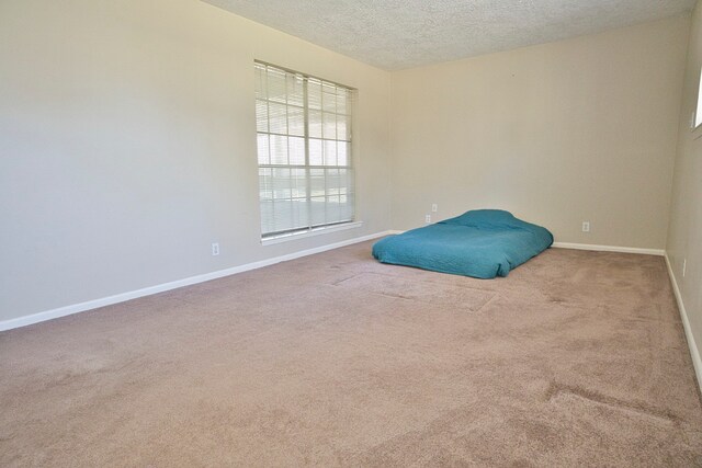 unfurnished room with carpet and a textured ceiling