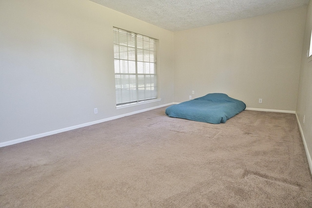 6823 County Road 659, Brazoria, TX 77422 - unfurnished bedroom with carpet floors and a textured ceiling