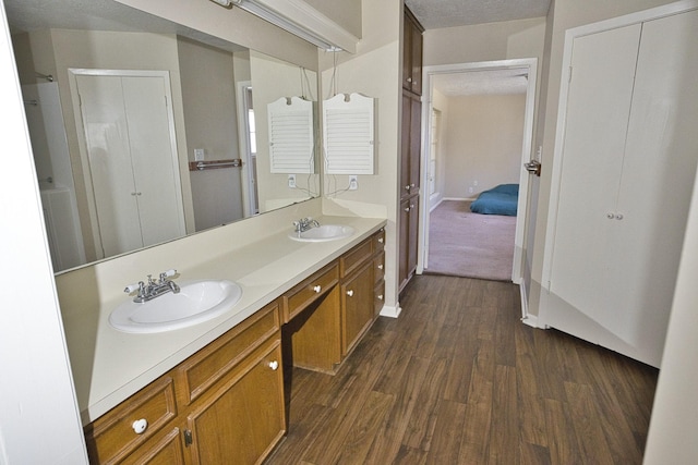 6823 County Road 659, Brazoria, TX 77422 - bathroom with wood finished floors and double vanity