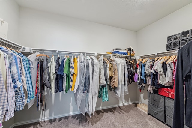 spacious closet featuring carpet flooring