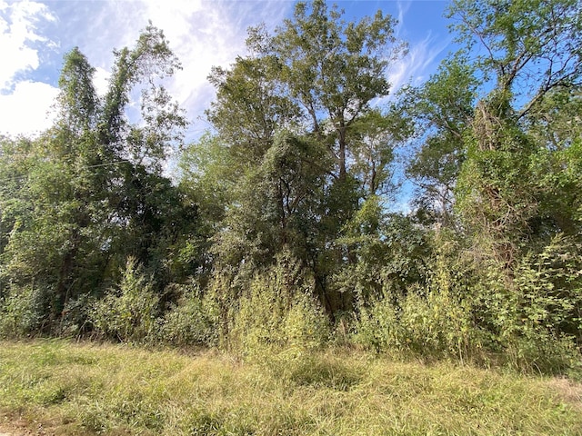 Listing photo 2 for TBD County Road 2859, Cleveland TX 77327