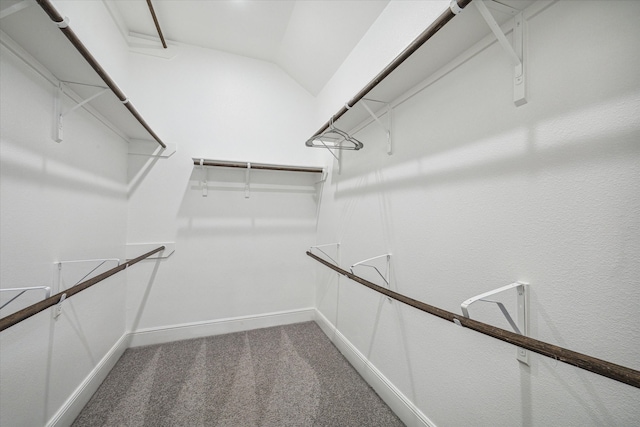 walk in closet featuring carpet and vaulted ceiling