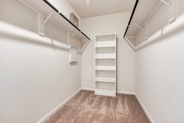 walk in closet featuring carpet flooring