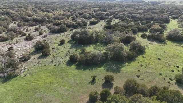 TBD000 County Road 108, Burnet, TX 78611 - photo 6