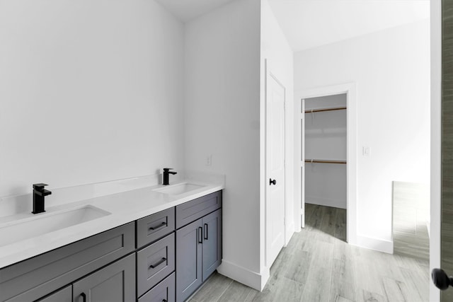 bathroom with wood-type flooring and vanity