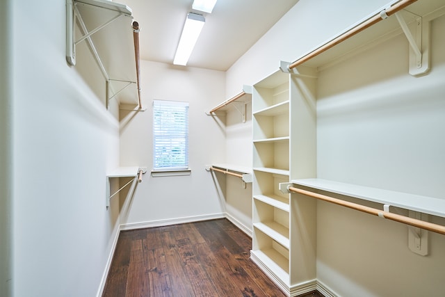 walk in closet with dark hardwood / wood-style flooring