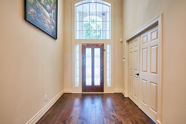 entryway featuring dark hardwood / wood-style floors