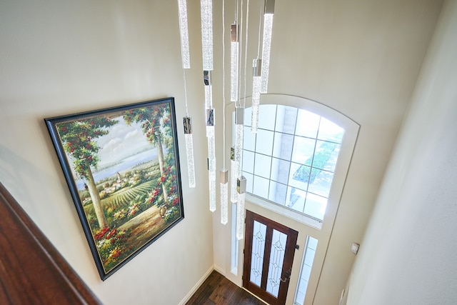 entrance foyer featuring hardwood / wood-style floors and a high ceiling