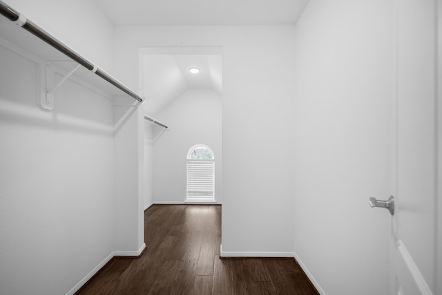 walk in closet featuring vaulted ceiling and dark hardwood / wood-style flooring