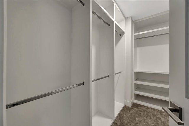 spacious closet with dark colored carpet