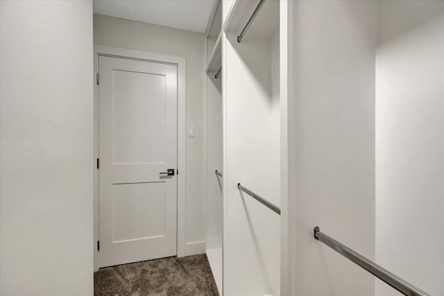 spacious closet with carpet flooring