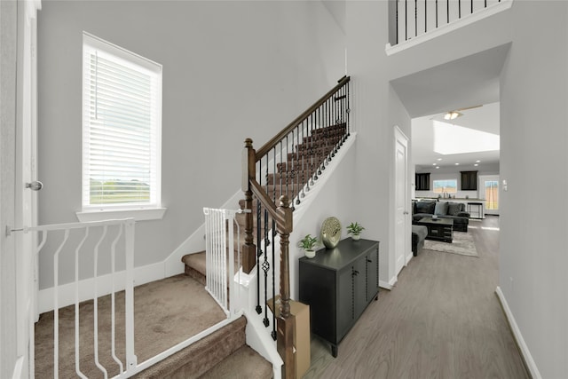 staircase with hardwood / wood-style floors and a high ceiling