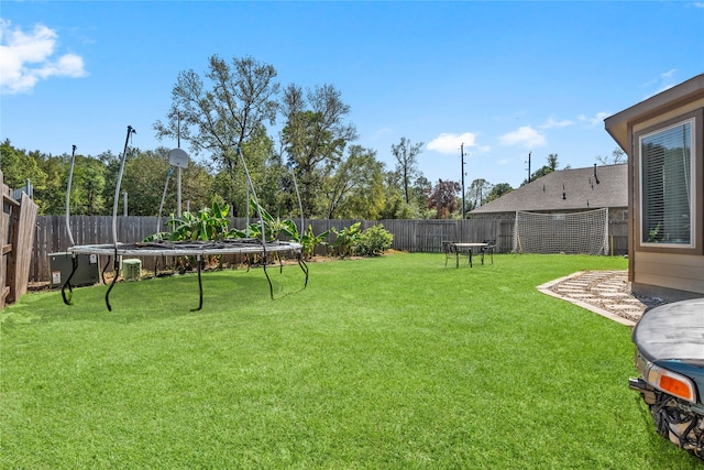 view of yard featuring a trampoline