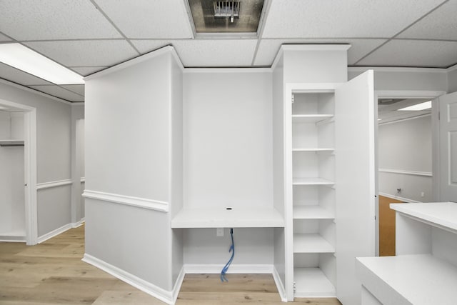 spacious closet featuring a paneled ceiling and light hardwood / wood-style flooring