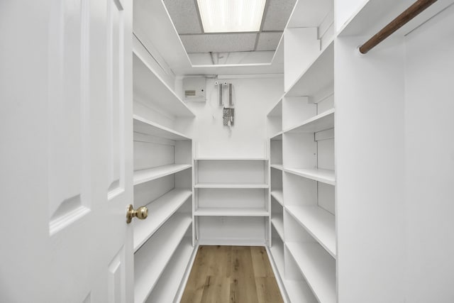 walk in closet with a drop ceiling and light hardwood / wood-style flooring