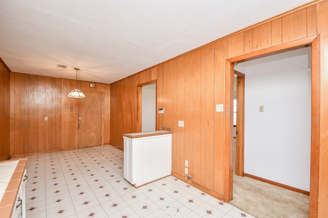 interior space featuring wood walls