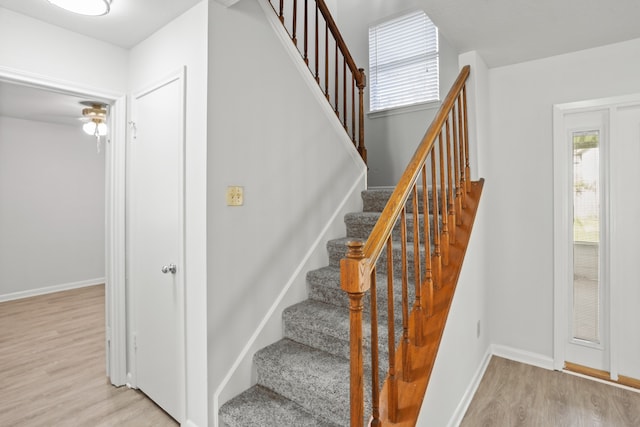 staircase with hardwood / wood-style flooring