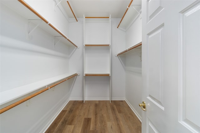 walk in closet with dark wood-type flooring