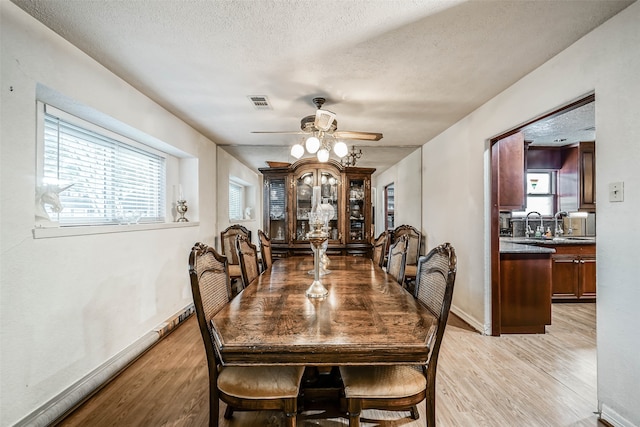 dining area with a wealth of natural light, light hardwood / wood-style flooring, and a textured ceiling