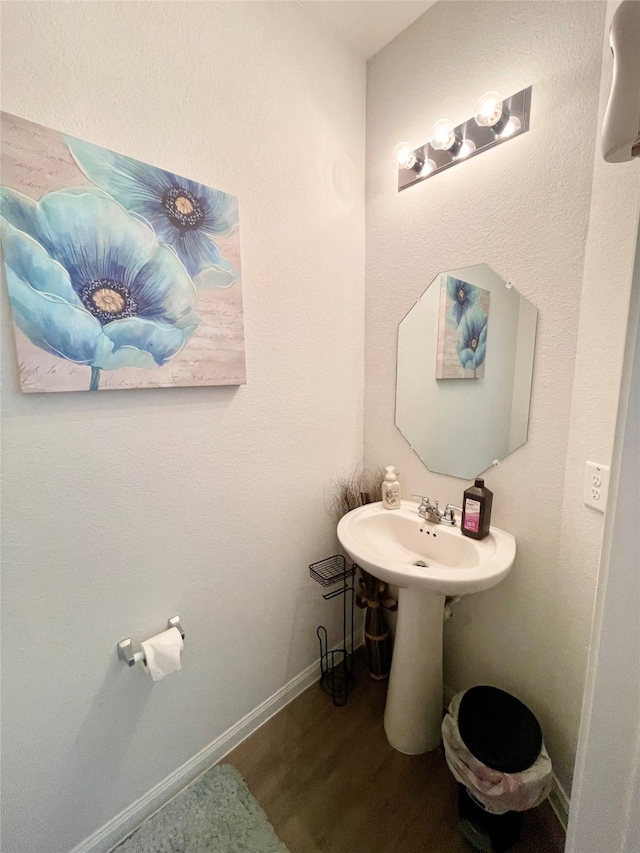 bathroom featuring hardwood / wood-style flooring