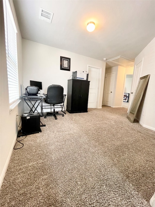 office featuring carpet floors