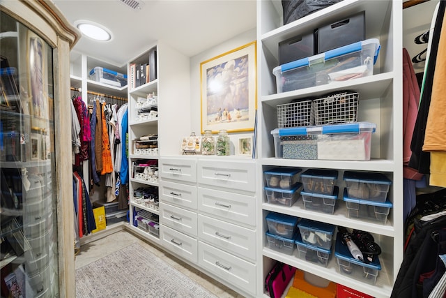 view of spacious closet