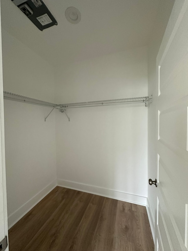 walk in closet with dark hardwood / wood-style floors