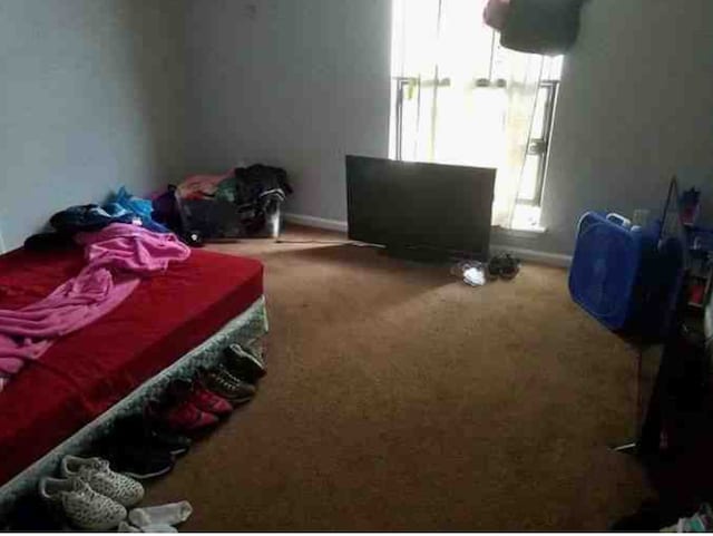 bedroom featuring carpet floors